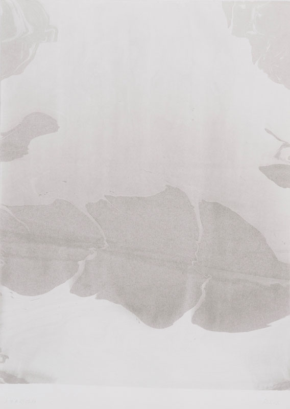 I-M-03507012