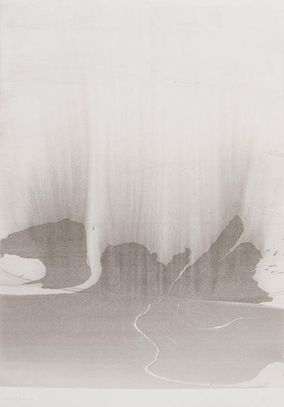 The Immersion Monotypes