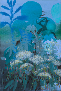 The Garden of S. Muller