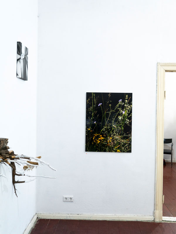 Rohweder-Landen-Ausstellung-1